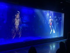 -顺德南宏海立方海洋公园