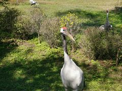 -沈阳森林动物园