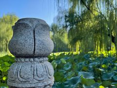 -莲湖公园