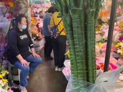 -花鸟鱼虫鲜花绿植市场(玉泉路店)