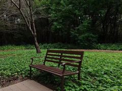 -上海滨江森林公园