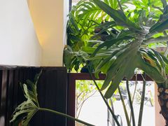 -串妹花式冰粉(乐山总店)
