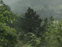 -藏龙百瀑风景区