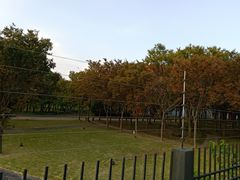 -中国浦东干部学院