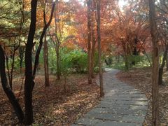 -长春市南湖公园