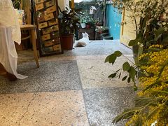 -知物癖(牛王庙店)
