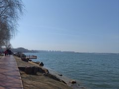 -丁香湖公园