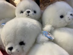 -哈尔滨极地公园
