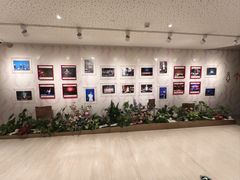 -交通银行前滩31演艺中心