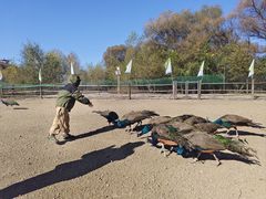 -洮儿河国家湿地公园