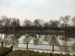 -燕郊植物园