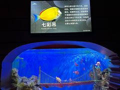 -太平洋海底世界