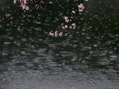 -中国茶叶博物馆(双峰馆区)