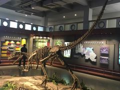 -自贡恐龙博物馆