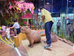-正佳雨林生态植物园