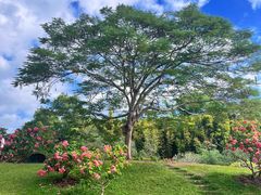 -中国科学院西双版纳热带植物园