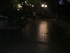 -文瀛公园