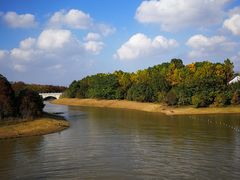 -上海海湾国家森林公园