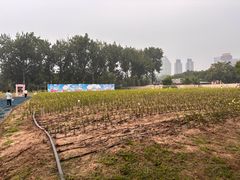 -中国农业博物馆