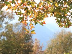 -广州市石门国家森林公园