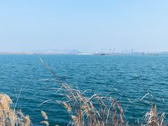 -南湖国家城市湿地公园