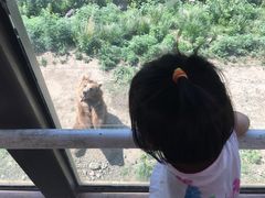 -新疆天山野生动物园