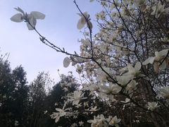 -木塔寺遗址生态公园