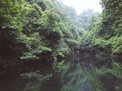-石台牯牛降景区