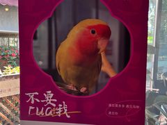 -莫多多餐厅