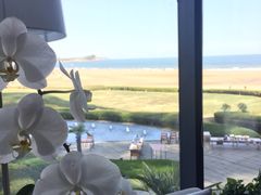 -青岛朗艺美术馆·海景咖啡