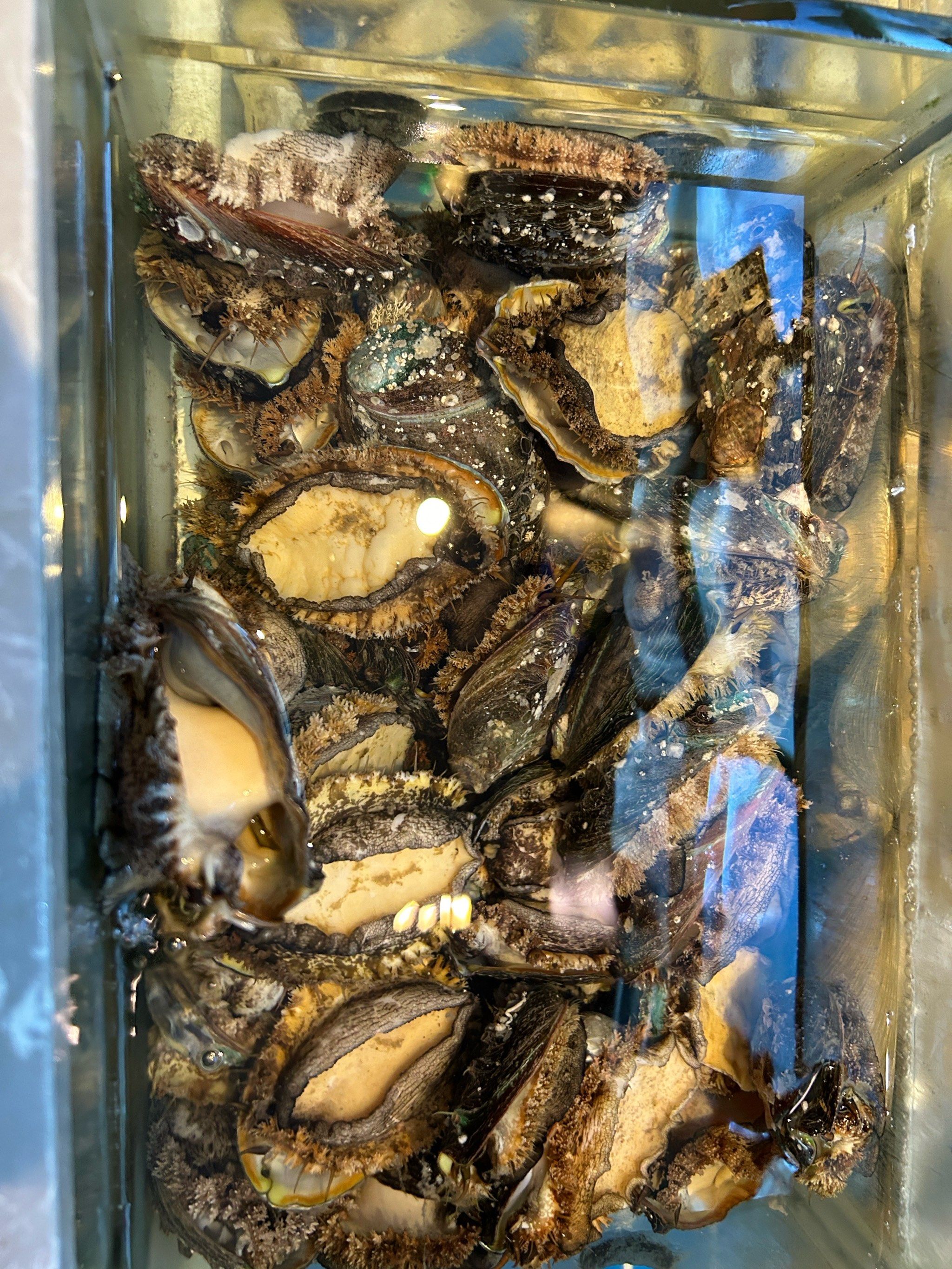 海味大集合