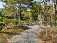 -东莞植物园