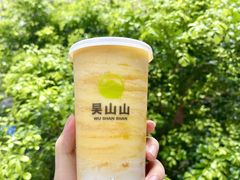 -吴山山·椰子酸奶(天河南店)