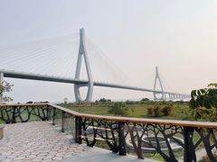 -芒洲湿地公园