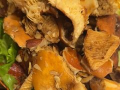 -菌海森林·非遗野生菌火锅(西山区滇池路摩根道店)