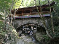 -藏龙百瀑风景区