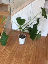 -韵绮产后修复中心(青浦宝龙广场店)