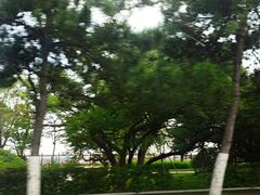 -老虎石海上公园