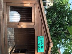 海边的猫和咖啡馆-海边的猫和咖啡馆