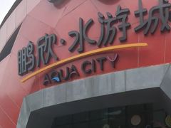 -鹏欣水游城