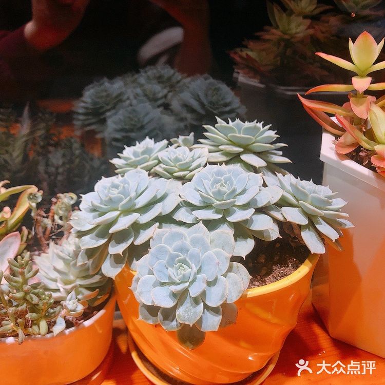 太原柳巷宝藏韩料店！炸鸡爆汁酥脆比在韩国吃的好吃😋