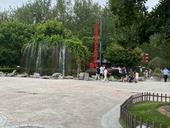 -合肥滨湖国家森林公园