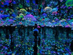 -天津梵高星空艺术馆(天河城旗舰店)