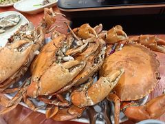 -蚝乡农庄(铁涌赤岸店)