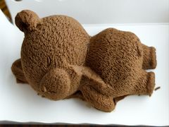 巧克力瞌睡熊-童趣廊·儿童波波池·海洋球(长隆横琴湾酒店)