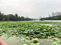 -宝生月子中心(民治店)