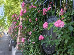 -上海市控江中学