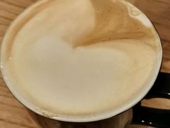 -Gloria Jean's Coffees