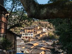 -杨家堂村
