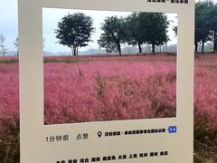 -汉长安城未央宫国家考古遗址公园